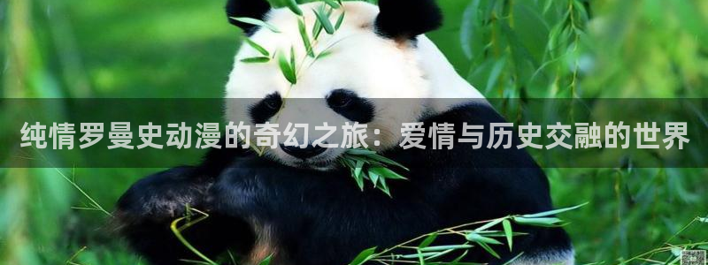 58动漫网官网